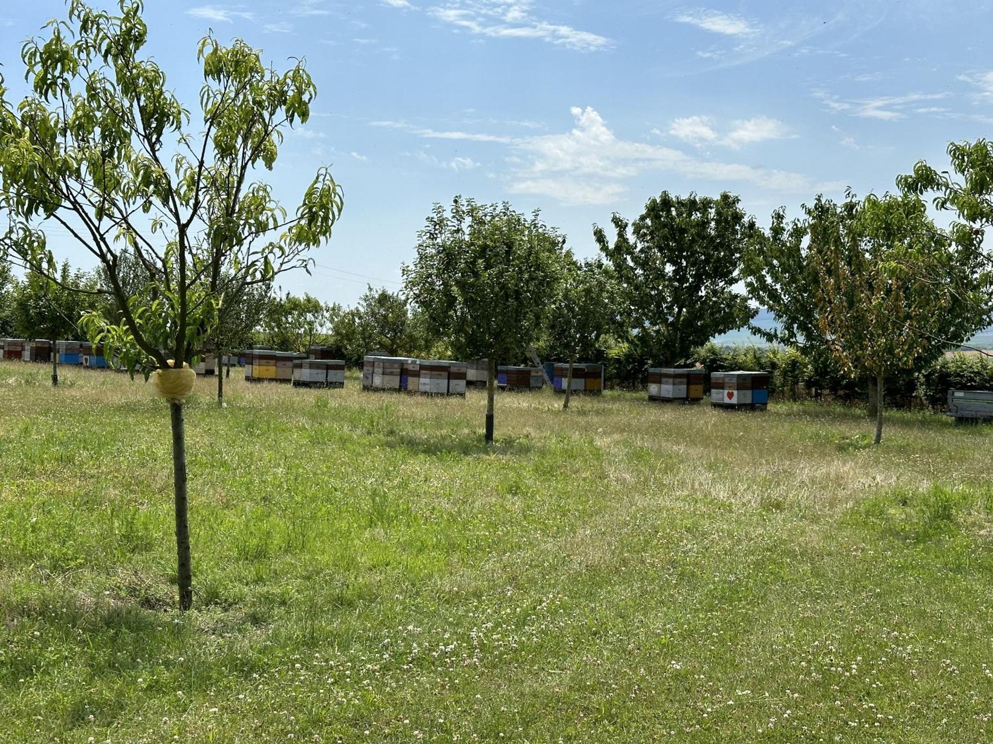 Happy Villa Cernay-les-Reims ภายนอก รูปภาพ