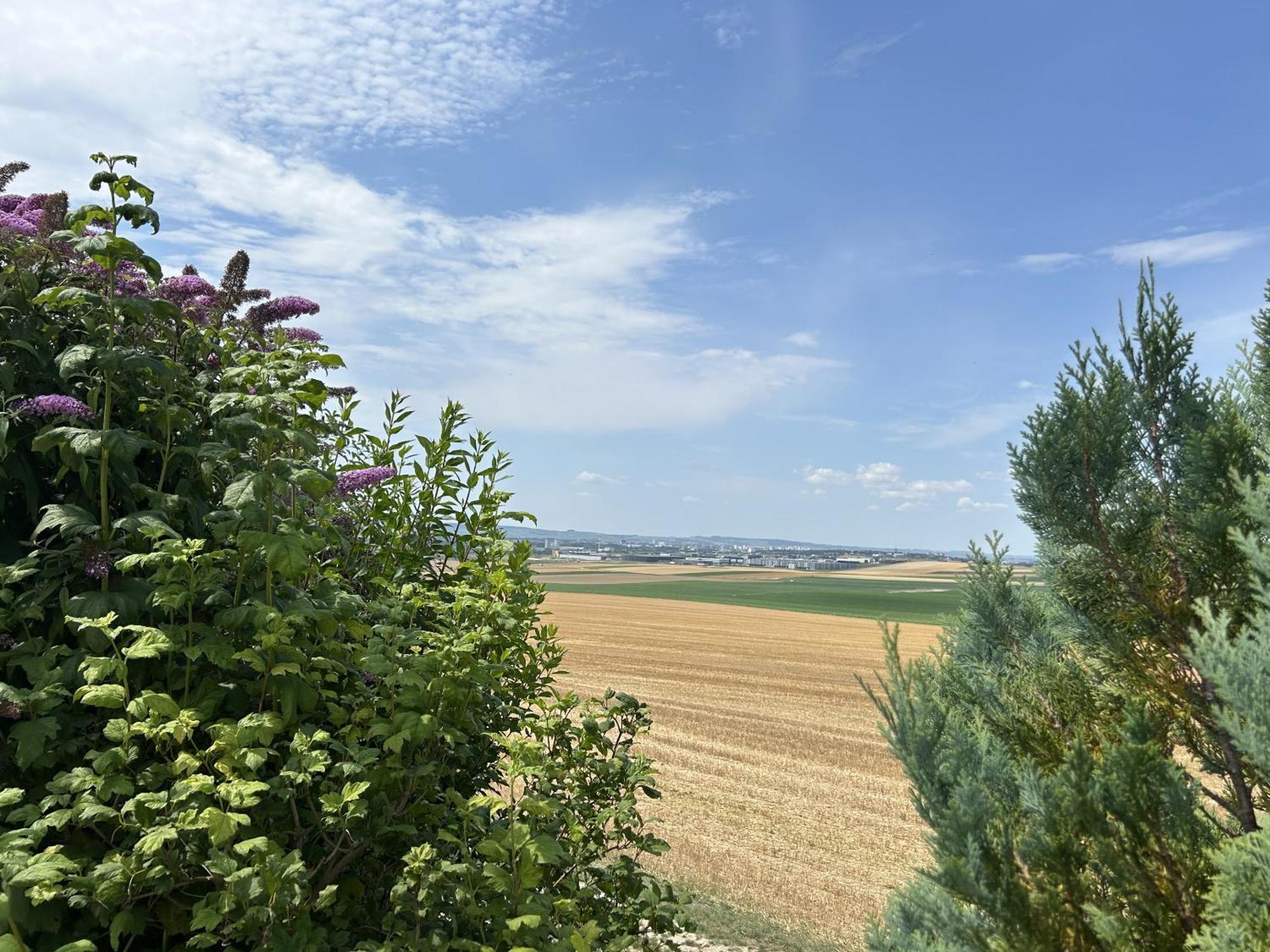 Happy Villa Cernay-les-Reims ภายนอก รูปภาพ
