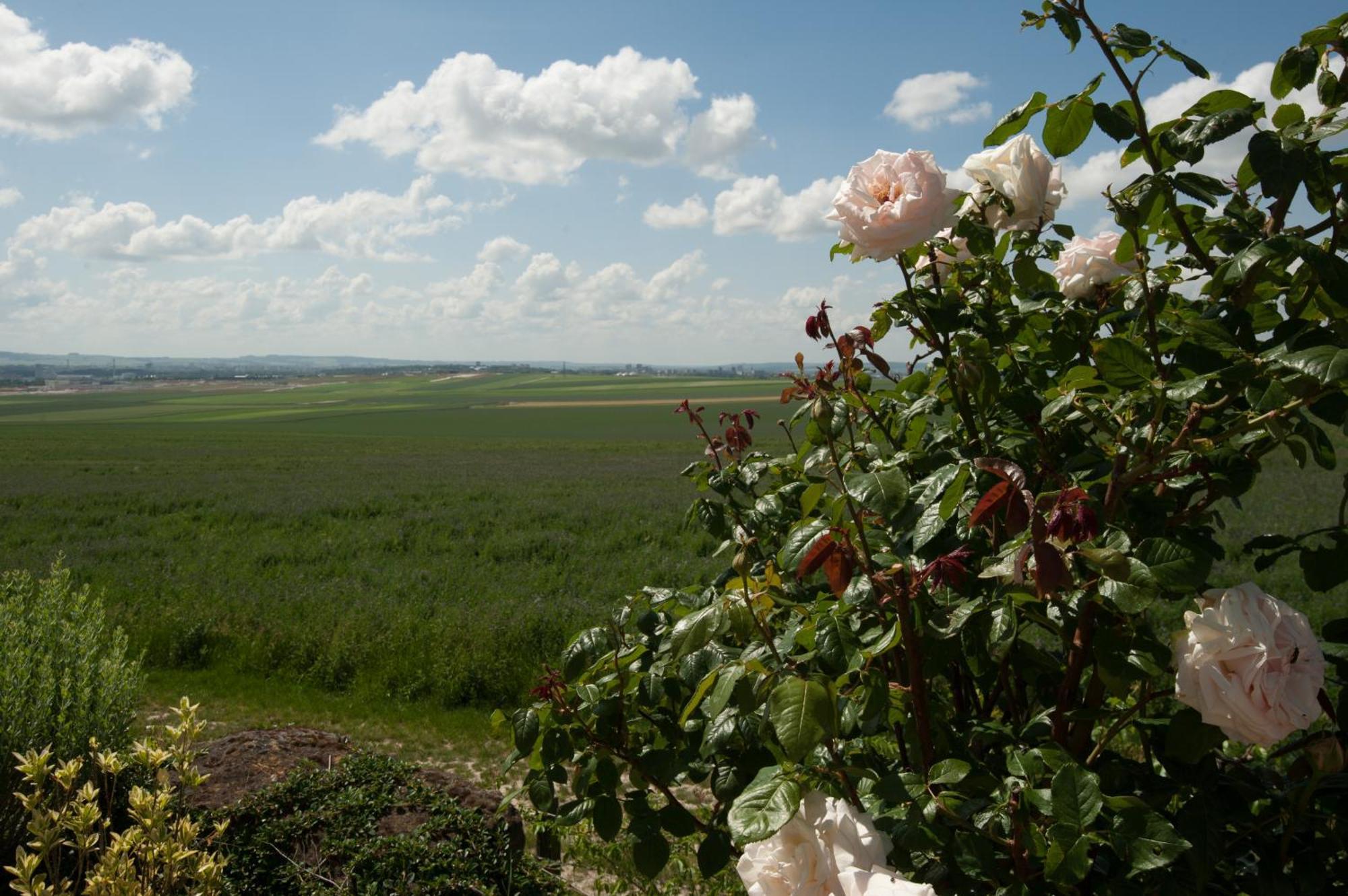 Happy Villa Cernay-les-Reims ภายนอก รูปภาพ